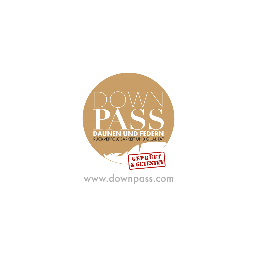 Logo "DOWN PASS"