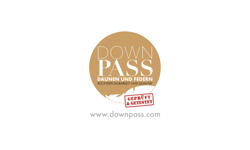 Logo "DOWNPASS"